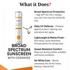 Vanyse SPF 50 PA++ Sunscreen with Ceramide - Unisex - 50g